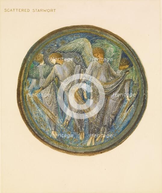 The Flower Book - Scattered Starwort, 1905. Creator: Sir Edward Coley Burne-Jones.