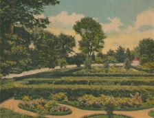 The Flower Garden, a view of the west end 1946