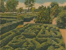 The Flower Garden, general view 1946