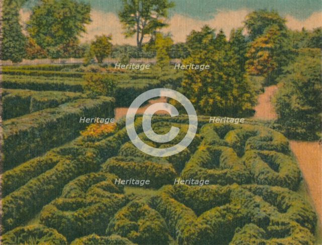 'The Flower Garden, general view', 1946. Artist: Unknown.
