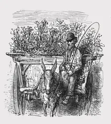 The Flower Hawker 1872. Creator: Gustave Doré
