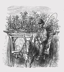 The Flower Hawker 1872. Creator: Gustave Doré