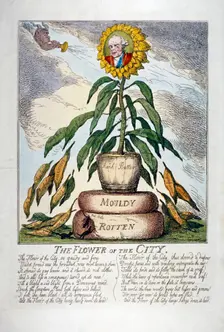 The Flower of the City 1809. Artist: Thomas Rowlandson