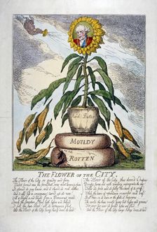 The Flower of the City 1809. Artist: Thomas Rowlandson