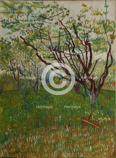 The Flowering Orchard, 1888. Creator: Vincent van Gogh.