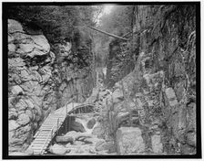 The Flume, looking up, Franconia Notch, White Mountains, between 1890 and 1901. Creator: Unknown