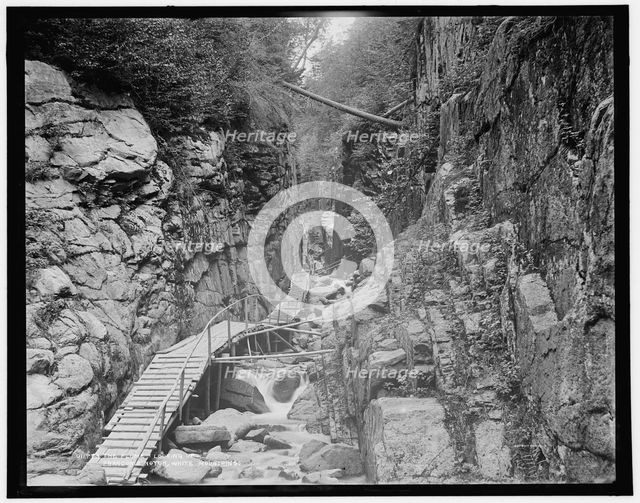 The Flume, looking up, Franconia Notch, White Mountains, between 1890 and 1901. Creator: Unknown.
