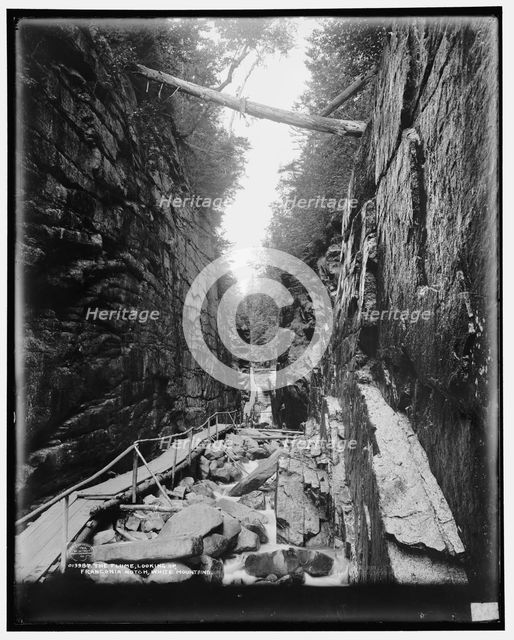 The Flume, looking up, Franconia Notch, White Mountains, c1901. Creator: Unknown.