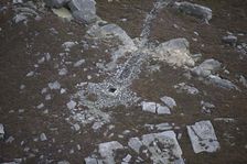 The flue to Old Gang lead smelt mill, North Yorkshire, 2015. Creator: Dave MacLeod