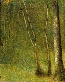 The Forest at Pontaubert, 1881. Creator: Georges-Pierre Seurat