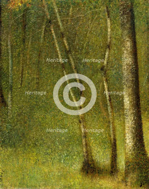 The Forest at Pontaubert, 1881. Creator: Georges-Pierre Seurat.