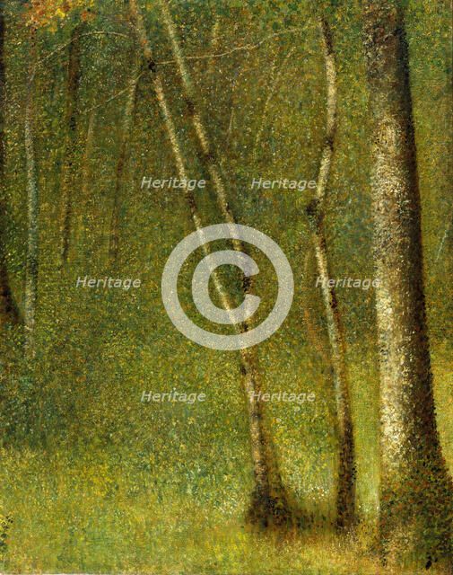 The Forest at Pontaubert, 1881. Creator: Georges-Pierre Seurat.