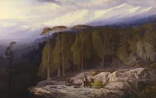 The Forest of Valdoniello, Corsica, 1869. Creator: Edward Lear
