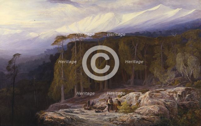 The Forest of Valdoniello, Corsica, 1869. Creator: Edward Lear.