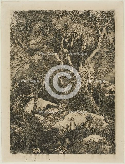 The Forest of Fontainebleau, 1880. Creator: Rodolphe Bresdin.