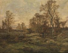 The Forest of Fontainebleau - Autumn Evening, c1860-1899. Creator: Theodore Baron