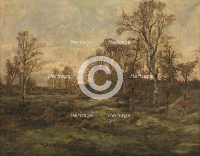 The Forest of Fontainebleau - Autumn Evening, c1860-1899. Creator: Theodore Baron.