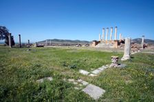 The forum at Thuburbo Majus, Tunisia. Creator: Samuel Magal