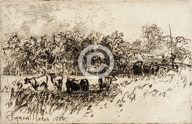 The Four Cows, 1882. Creator: Francis Seymour Haden.