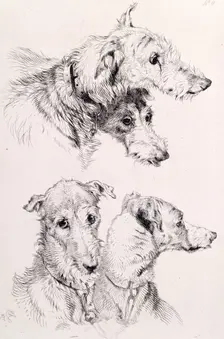 The Four Irish Greyhounds, c1860. Creator: Edwin Henry Landseer