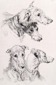 The Four Irish Greyhounds, c1860. Creator: Edwin Henry Landseer