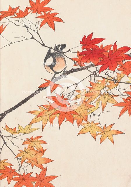 The Four Seasons Bird and Flower Albums (Keinen Kacho Gafu), 1891-1892. Creator: Keinen, Imao (1845-1924).