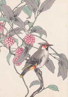The Four Seasons Bird and Flower Albums (Keinen Kacho Gafu), 1891-1892. Creator: Keinen, Imao (1845-1924)