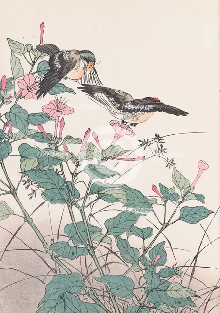 The Four Seasons Bird and Flower Albums (Keinen Kacho Gafu), 1891-1892. Creator: Keinen, Imao (1845-1924).