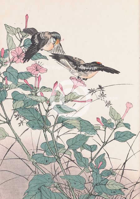 The Four Seasons Bird and Flower Albums (Keinen Kacho Gafu), 1891-1892. Creator: Keinen, Imao (1845-1924).
