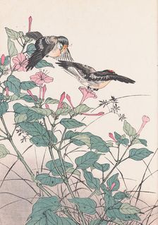 The Four Seasons Bird and Flower Albums (Keinen Kacho Gafu), 1891-1892. Creator: Keinen, Imao (1845-1924)