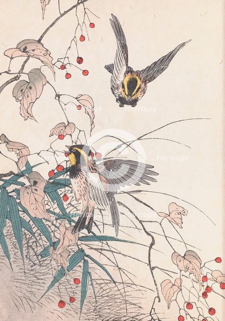 The Four Seasons Bird and Flower Albums (Keinen Kacho Gafu), 1891-1892. Creator: Keinen, Imao (1845-1924).