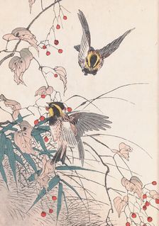 The Four Seasons Bird and Flower Albums (Keinen Kacho Gafu), 1891-1892. Creator: Keinen, Imao (1845-1924)