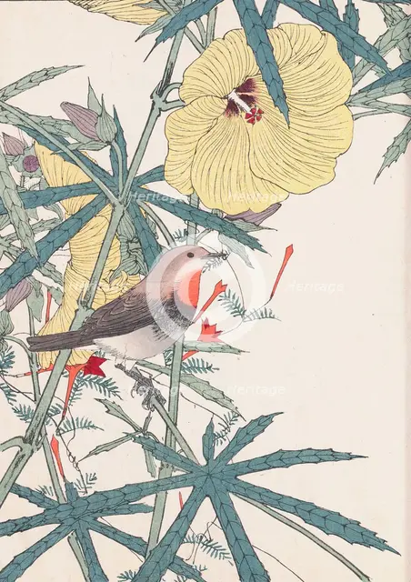 The Four Seasons Bird and Flower Albums (Keinen Kacho Gafu), 1891-1892. Creator: Keinen, Imao (1845-1924).