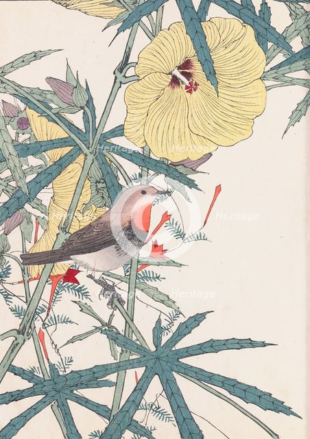The Four Seasons Bird and Flower Albums (Keinen Kacho Gafu), 1891-1892. Creator: Keinen, Imao (1845-1924).