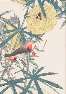 The Four Seasons Bird and Flower Albums (Keinen Kacho Gafu), 1891-1892. Creator: Keinen, Imao (1845-1924)