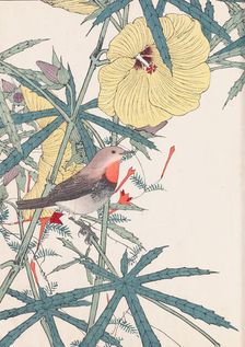 The Four Seasons Bird and Flower Albums (Keinen Kacho Gafu), 1891-1892. Creator: Keinen, Imao (1845-1924)