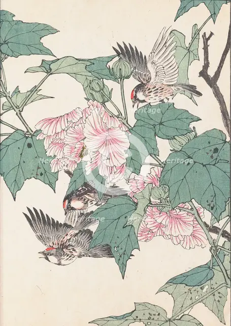 The Four Seasons Bird and Flower Albums (Keinen Kacho Gafu), 1891-1892. Creator: Keinen, Imao (1845-1924).