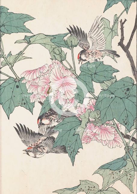 The Four Seasons Bird and Flower Albums (Keinen Kacho Gafu), 1891-1892. Creator: Keinen, Imao (1845-1924).