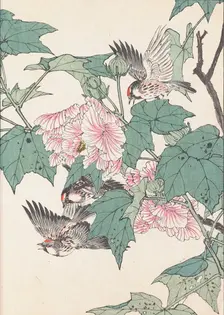 The Four Seasons Bird and Flower Albums (Keinen Kacho Gafu), 1891-1892. Creator: Keinen, Imao (1845-1924)