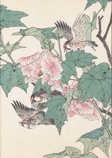 The Four Seasons Bird and Flower Albums (Keinen Kacho Gafu), 1891-1892. Creator: Keinen, Imao (1845-1924)