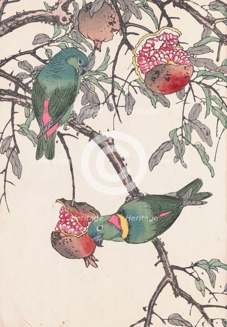 The Four Seasons Bird and Flower Albums (Keinen Kacho Gafu), 1891-1892. Creator: Keinen, Imao (1845-1924).