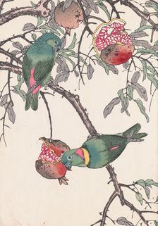 The Four Seasons Bird and Flower Albums (Keinen Kacho Gafu), 1891-1892. Creator: Keinen, Imao (1845-1924)