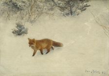 The Fox, 1893. Creator: Bruno Liljefors