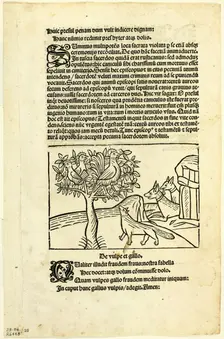 The Fox and the Rooster from Fabulae et Vita (Fables and Life), Plate 25 from Woodcuts..., 1929. Creators: Unknown, Michael Furter, Wilhelm Ludwig Schreiber