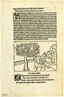The Fox and the Rooster from Fabulae et Vita (Fables and Life), Plate 25 from Woodcuts..., 1929. Creators: Unknown, Michael Furter, Wilhelm Ludwig Schreiber