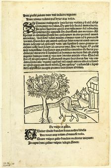 The Fox and the Rooster from Fabulae et Vita (Fables and Life), Plate 25 from Woodcuts..., 1929. Creators: Unknown, Michael Furter, Wilhelm Ludwig Schreiber
