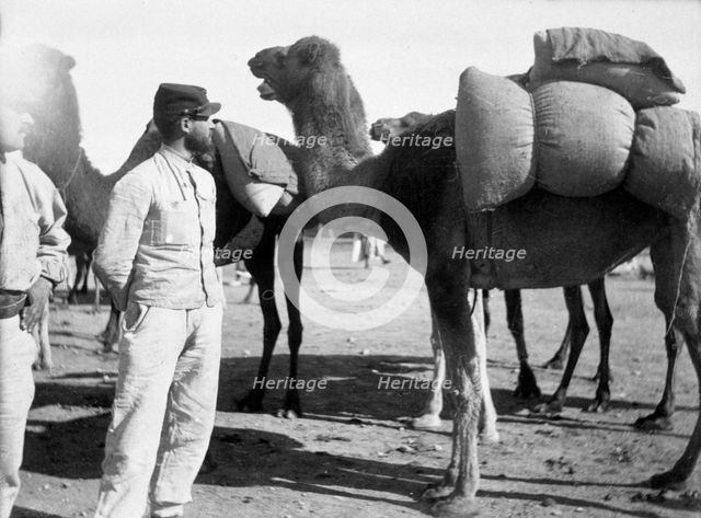 The French Foreign Legion on manoeuvres, Boudenib, Morocco, 1911. Artist: Unknown