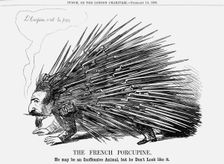 The French Porcupine 1859. Creator: Unknown
