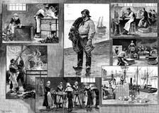 The French Sardine Industry, 1890. Creator: R. Taylor