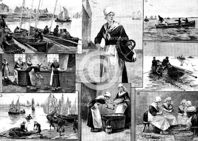 The French Sardine Industry, 1890. Creator: R. Taylor.